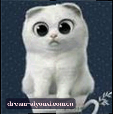 阿琳